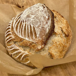 Meet your Posher, Freda